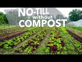 Thumbnail for I Stopped Buying Compost for Two Years