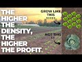 Thumbnail for Small Farm, Big Profits: Master the Art of High-Density Farming (CVR Series 2 of 5)