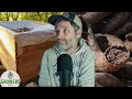 Thumbnail for Do These Popular Ag Practices Have Science Behind Them? + What is Profit ANYWAY?