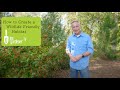 Thumbnail for How to Create a Wildlife Friendly Habitat in Your Garden or Landscape