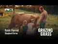 Thumbnail for Starting With Dairy Cows: Mistakes, Setbacks, and Wins | 210