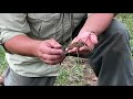 Thumbnail for Farm Tour Pastures