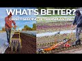 Thumbnail for The Pros and Cons of Direct Seeding and Transplanting for Market Gardeners