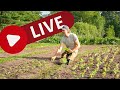Thumbnail for Farmer Jesse's New Year's Eve No-Till Extravaganza