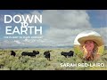 Thumbnail for Episode 208 - Saving the Bees that Feed Us: Cultivating Pollinator-Friendly...