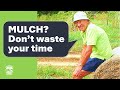 Thumbnail for The SHOCKING Truth About Mulch (Science Explained)