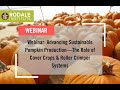 Thumbnail for Webinar: Advancing Sustainable Pumpkin Production: The Role of Cover Crops &...