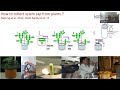 Thumbnail for Advanced Plant Growth Centre seminar: The ups & downs of ABA as a drought...