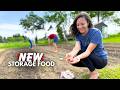 Thumbnail for Taking SELF-SUFFICIENCY a Step Further