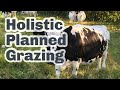 Thumbnail for HOW WE PLAN OUR GRAZING 80 min special on filling in a holistic planned...