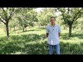 Thumbnail for Dr. Ron Revord | University of Missouri Center for Agroforestry