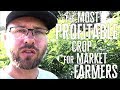 Thumbnail for The Most Profitable Crop Revealed: Market Farmers' Money-Making Secret!