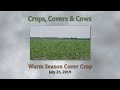 Thumbnail for CCC  Warm Season Cover Crops