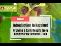 Thumbnail for Intro to Hazelnut Growing & Early Results from Rodales PNW Orchard Trials