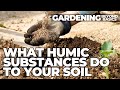 Thumbnail for Why Use Humic Substances on Your Soil