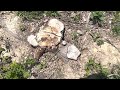 Thumbnail for Does your soil look like this? Here are the first steps to healing it!