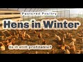 Thumbnail for HENS IN WINTER IN EXTREME CONDITIONS S4 ● E13