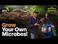 Thumbnail for Grow Your Own Microbes: The DIY Secret to Supercharging Your Soil - HTDI S3E14