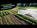 Thumbnail for New Farm – Six Months In
