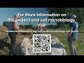 Thumbnail for LSP Johnson-Su Bioreactor Research Report (long version)