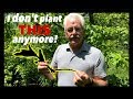Thumbnail for NO MORE COMFREY IN THE PERMACULTURE ORCHARD
