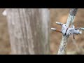 Thumbnail for Fencing 101: Why Fences Fail