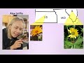 Thumbnail for The Land Institute: Ebony Murrell Lunch & Learn