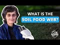 Thumbnail for What is the Soil Food Web? | Soil Food Web School