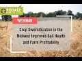 Thumbnail for Webinar: Crop Diversification in the Midwest Improves Soil Health and Farm...