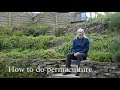 Thumbnail for How to do permaculture