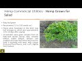 Thumbnail for Webinar: Industrial Hemp—Cultivating a New Industry