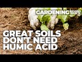Thumbnail for Healthy Soils Don't Need Supplementing
