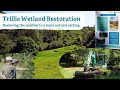 Thumbnail for Trillis Wetland Restoration | Stroud Valleys