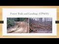 Thumbnail for Forestry and Environmental Quality Incentive Program (EQIP) Webinar