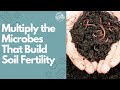 Thumbnail for The Science of Soil Fertility in 3-Steps Part 2: Multiply the Microbes That...