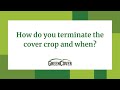 Thumbnail for FAQ - How do you terminate the cover crop and when?