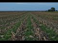 Thumbnail for Grazing Cover Crops for Resilience
