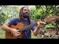 Thumbnail for Farmer's Footprint: Catalyze! Giving Tuesday 2023