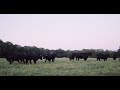 Thumbnail for Creating a Whole Farm or Grazing Plan: Who/What/When/Why/How
