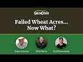 Thumbnail for Failed Wheat Acres... Now What?