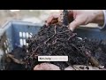 Thumbnail for "Composting in the Desert: Turning Scraps into Fertile Soil"