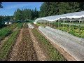 Thumbnail for S5 ● E49 No Dig Market Garden update and other things