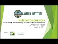 Thumbnail for Elderberry: Transitioning from Hobby to Commercial: Christopher Patton