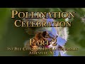 Thumbnail for Pollination Celebration, Bee City USA 10th Anniversary Part 2