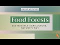 Thumbnail for Food Forests: Sustainable Agriculture, Nature’s Way | FoodUnfolded AudioArticle