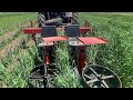 Thumbnail for Large Scale No-Till Vegetable Production (from the EFAO Conference 2021)