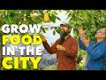 Thumbnail for Organic City Garden: Turn Any Space Into Huge Harvests