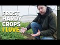 Thumbnail for Every Crop I'm Growing This Winter! Cold Hardy And Delicious
