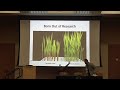 Thumbnail for Organic Rice Growing Market, Challenges, and Opportunities