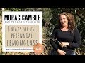 Thumbnail for 8 Ways to Use Lemongrass
